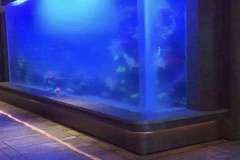 Aqua-space-aquarium-custom-FILEminimizer