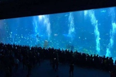 Aquarium-bawah-laut-berkualitas-dari-akrilik-FILEminimizer
