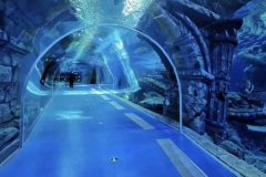 Aquarium-bawah-tanah-FILEminimizer