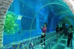 Aquarium-bawah-tanah-dengan-ukuran-sesuai-permintaan-FILEminimizer