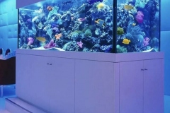 Aquarium-besar-untuk-pertunjukan-terumbu-karam-FILEminimizer