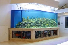 Aquarium-dari-akrilik-dengan-bentuk-custom-FILEminimizer