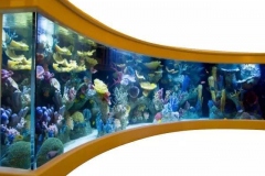 Aquarium-murah-untuk-hotel-dan-restoran-FILEminimizer