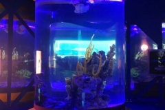 Aquarium-pertunjukan-ikan-bentuk-tabung-FILEminimizer