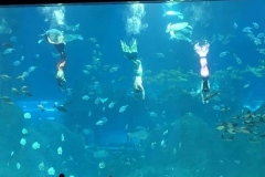 Aquarium-raksasa-diving-cutom-FILEminimizer