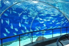 Aquarium-super-besar-untuk-restoran-bawah-air-FILEminimizer