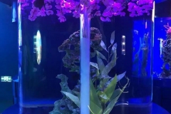 Aquarium-tabung-bulat-akrilik-bening-FILEminimizer