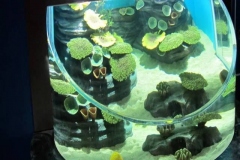 Aquarium-ukuran-khusus-akrilik-tebal-FILEminimizer