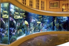 Beli-aquarium-custom-di-surabaya-dan-jakarta-FILEminimizer