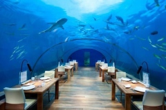 Jasa-Pembuatan-Giant-aquarium-untuk-restoran-FILEminimizer