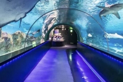 Jasa-pembuatan-Aquarium-bawah-laut-FILEminimizer