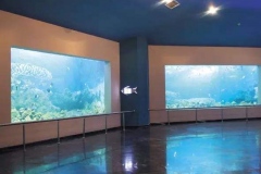 Jasa-pembuatan-Aquarium-bawah-tanah-FILEminimizer