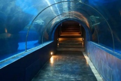 Jasa-pembuatan-Aquarium-ikan-hiu-FILEminimizer