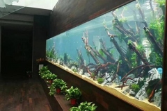 Jasa-pembuatan-aquarium-dengan-harga-bersahabat-FILEminimizer
