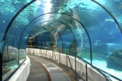 Jasa-pembuatan-dan-pemasangan-Aquarium-bawah-laut-FILEminimizer
