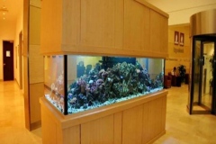 aquarium-besar-harga-bersahabat-FILEminimizer