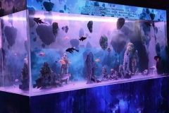 aquarium-ikan-hias-murah-segala-ukuran-FILEminimizer