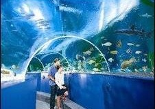 aquarium-super-besar-pembuatan-dan-pemasangan-FILEminimizer