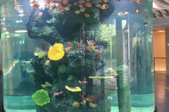 beli-aquarium-akrilik-ukuran-besar-berkualitas-FILEminimizer