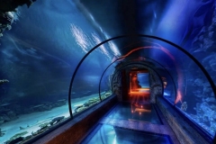Tunnel-aquarium-custom-ukuran-dan-tinggi-FILEminimizer