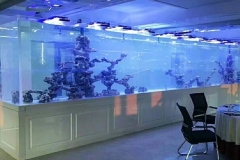 Ukuran-aquarium-besar-dan-berkualitas-cocok-untuk-hotel-FILEminimizer