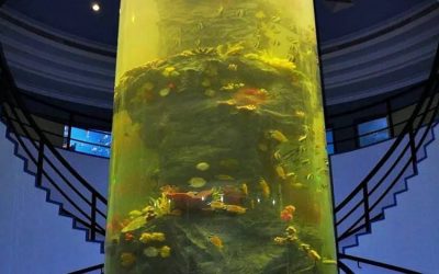 Giant aquarium untuk mall mall besar – CALL/WA: 081803215590
