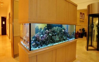 hotel aquarium berbagai ukuran dan bentuk – CALL/WA: 081803215590